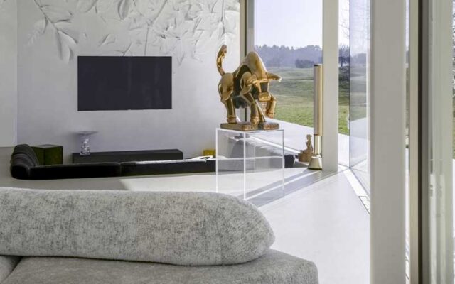 buzzi2