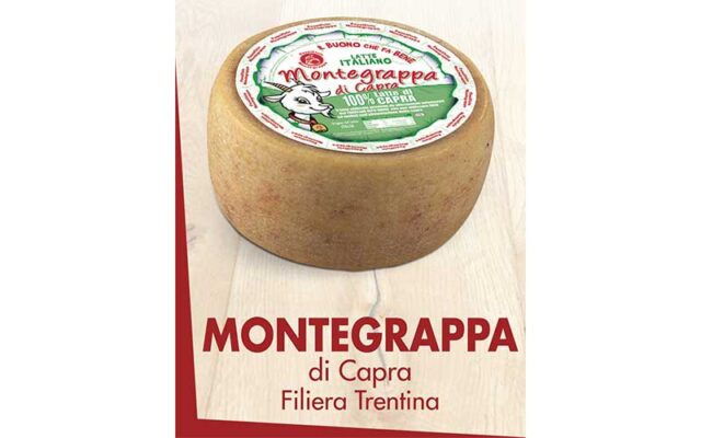 montegrappa4