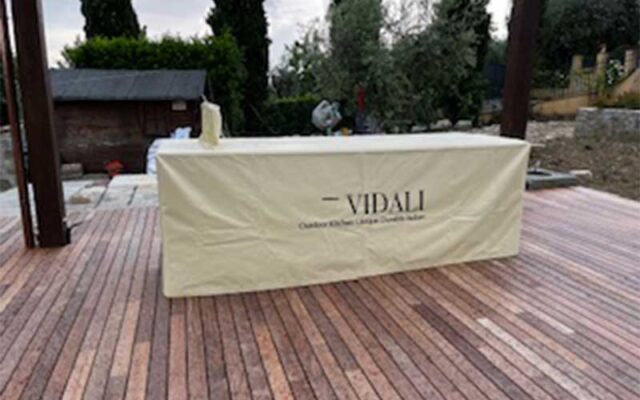 vidali6